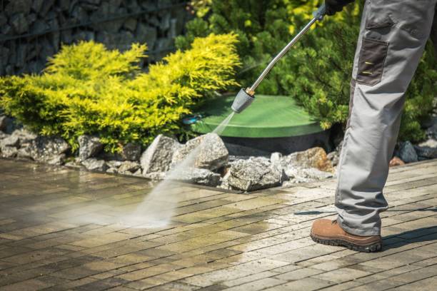 Best Pre-Holiday Cleaning  in Murphys, CA